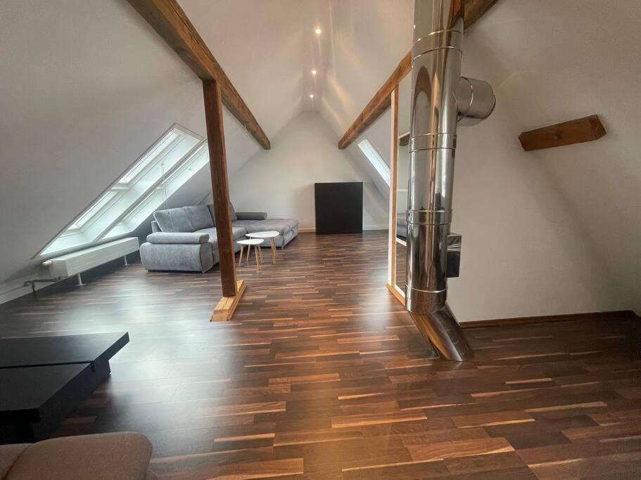Maisonette Apartment Family & Business Naehe Heidelberg I Kueche I 6 Schlafplaetze Sinsheim Exterior foto
